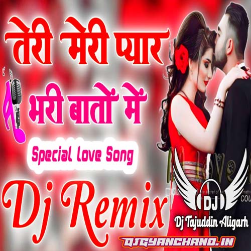 Teri Meri Pyar Bhari Baton Mein Mp3 Dj Song (Khatron Ke Khiladi 1988) - Dj Tajuddin Aligarh